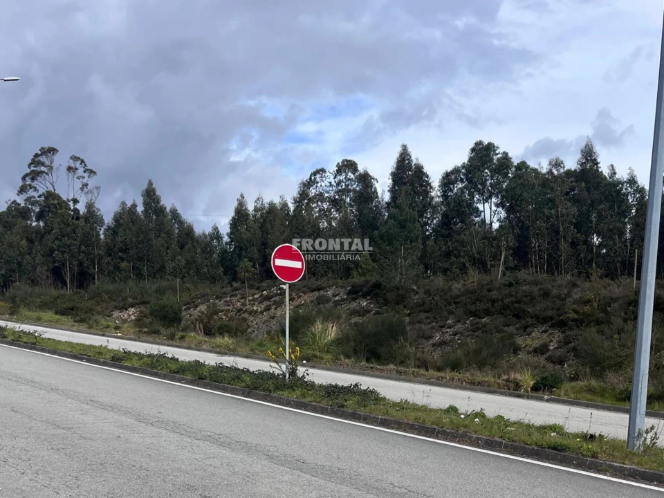 Terreno para Venda em Campo e Sobrado Foto 2