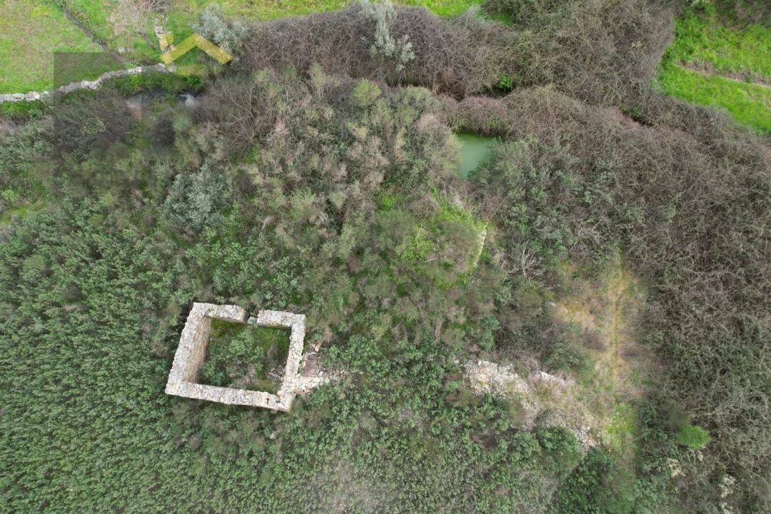 Quinta T0 para Venda em Freixial e Juncal do Campo Foto 5