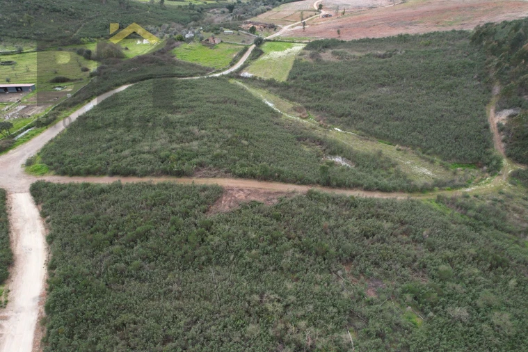 Quinta T0 para Venda em Freixial e Juncal do Campo Foto 7