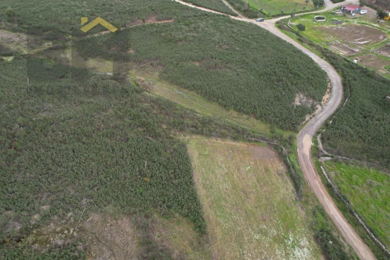 Quinta T0 para Venda em Freixial e Juncal do Campo Foto 6