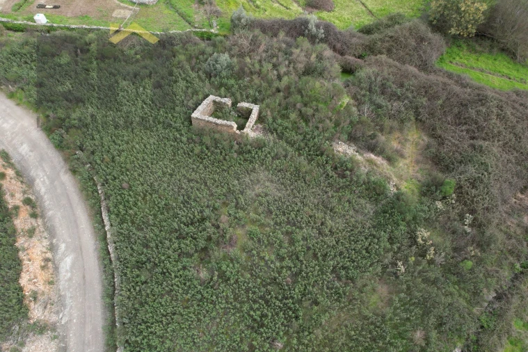 Quinta T0 para Venda em Freixial e Juncal do Campo Foto 4