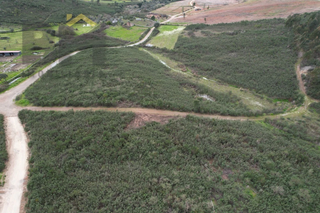 Quinta T0 para Venda em Freixial e Juncal do Campo Foto 7