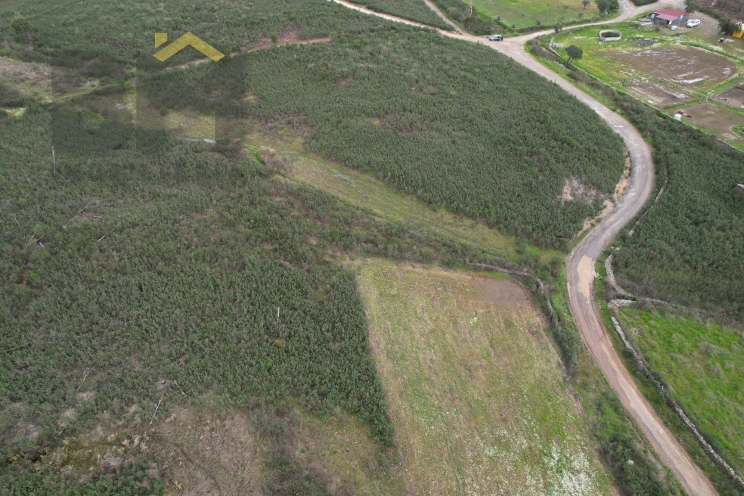 Quinta T0 para Venda em Freixial e Juncal do Campo Foto 6