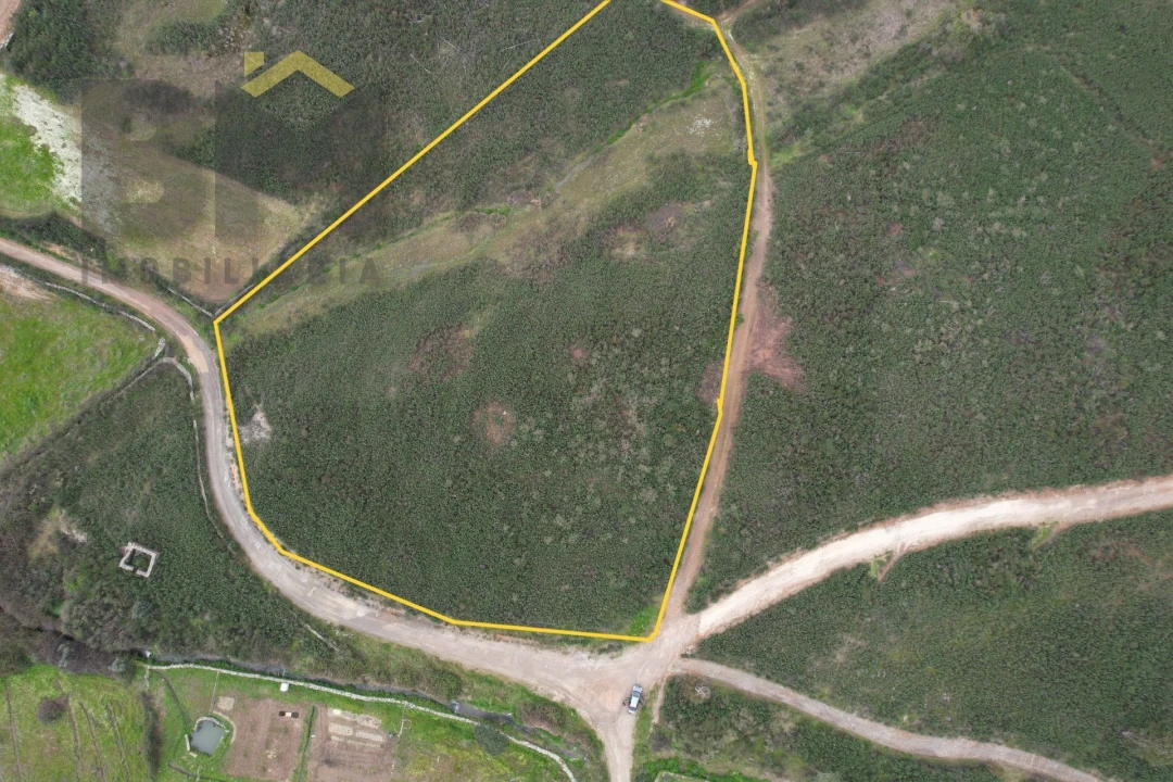 Quinta T0 para Venda em Freixial e Juncal do Campo Foto 2