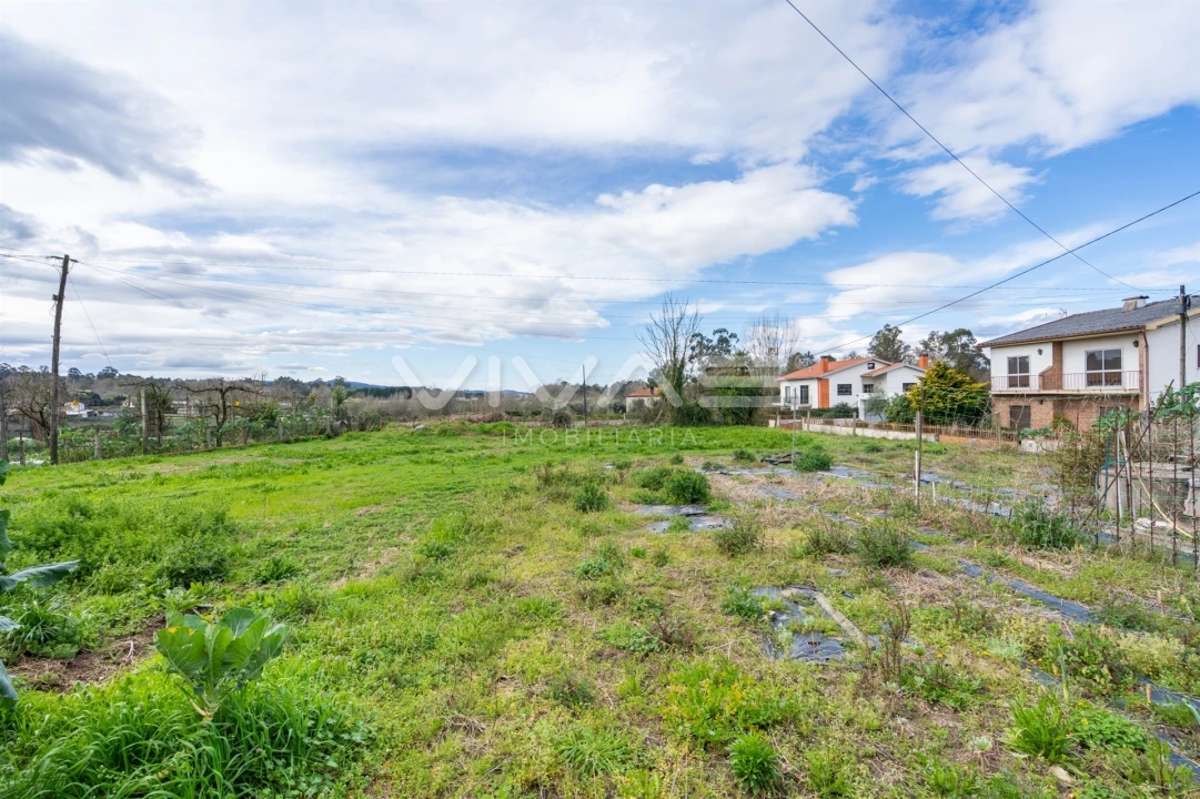 Quinta T3 para Venda em Palmeira Foto 46