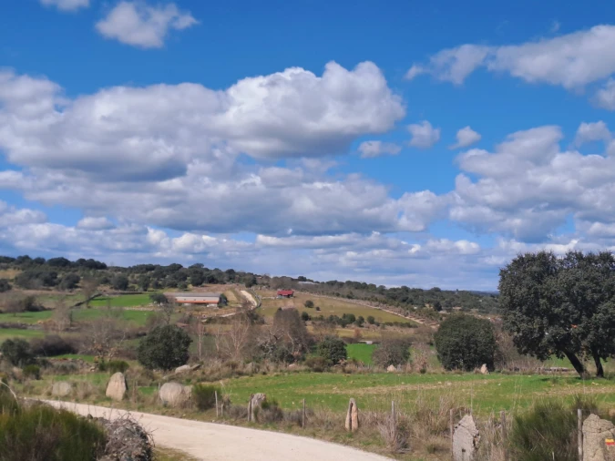 Terreno para Venda em Miranda do Douro Foto 13