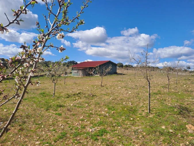 Terreno para Venda em Miranda do Douro Foto 22