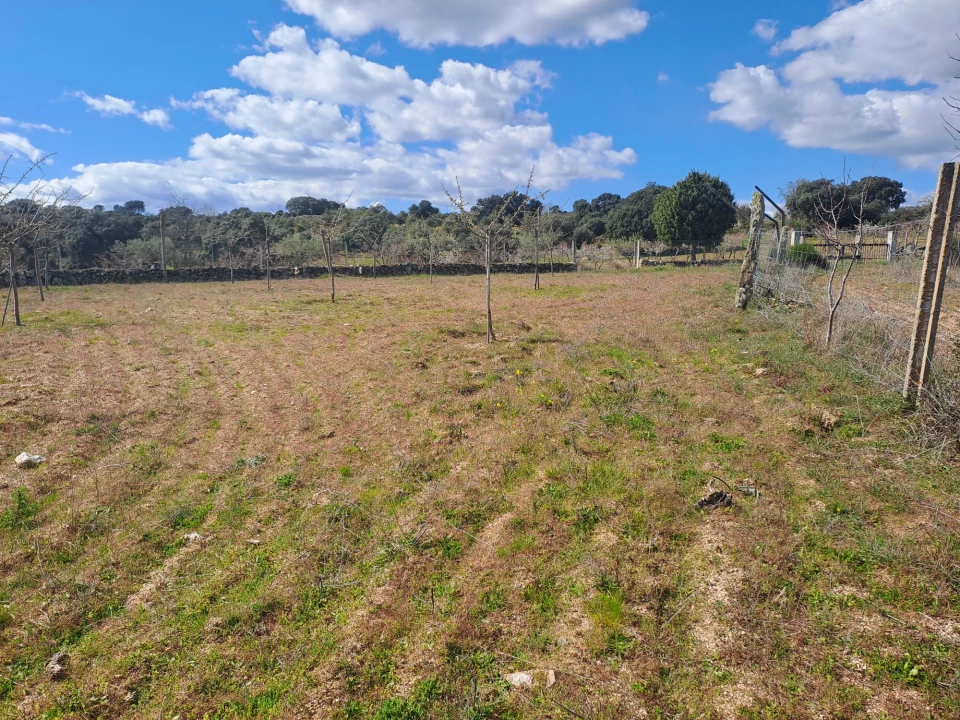 Terreno para Venda em Miranda do Douro Foto 18