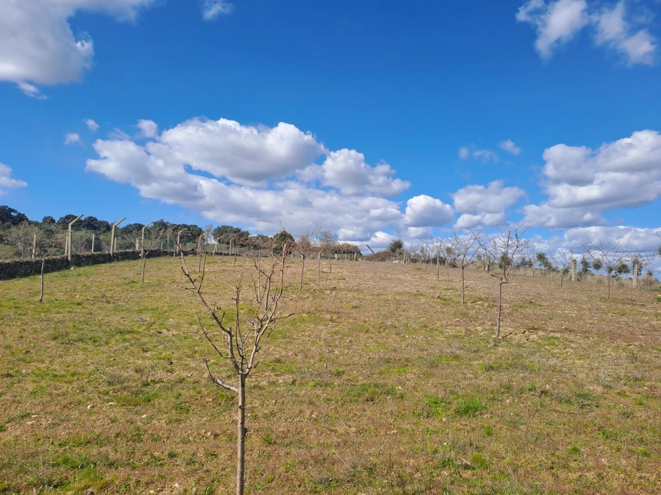 Terreno para Venda em Miranda do Douro Foto 16