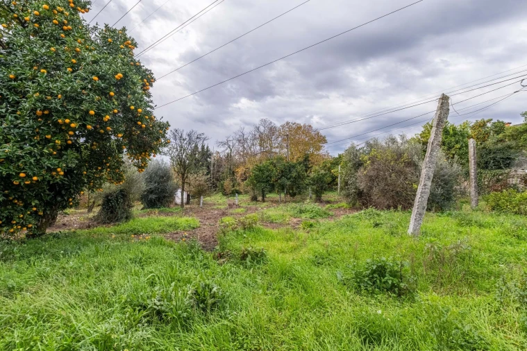 Quinta T5 para Venda em Amares e Figueiredo Foto 10