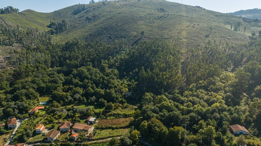 Moradia T2 para Venda em Caldelas, Sequeiros e Paranhos Foto 8