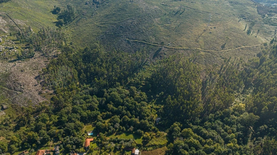 Moradia T2 para Venda em Caldelas, Sequeiros e Paranhos Foto 7