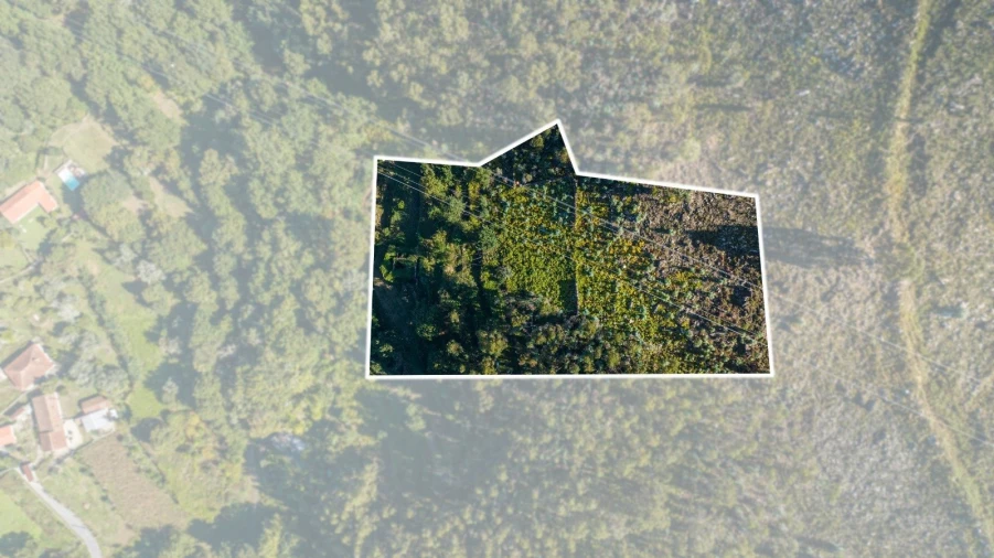 Moradia T2 para Venda em Caldelas, Sequeiros e Paranhos Foto 4