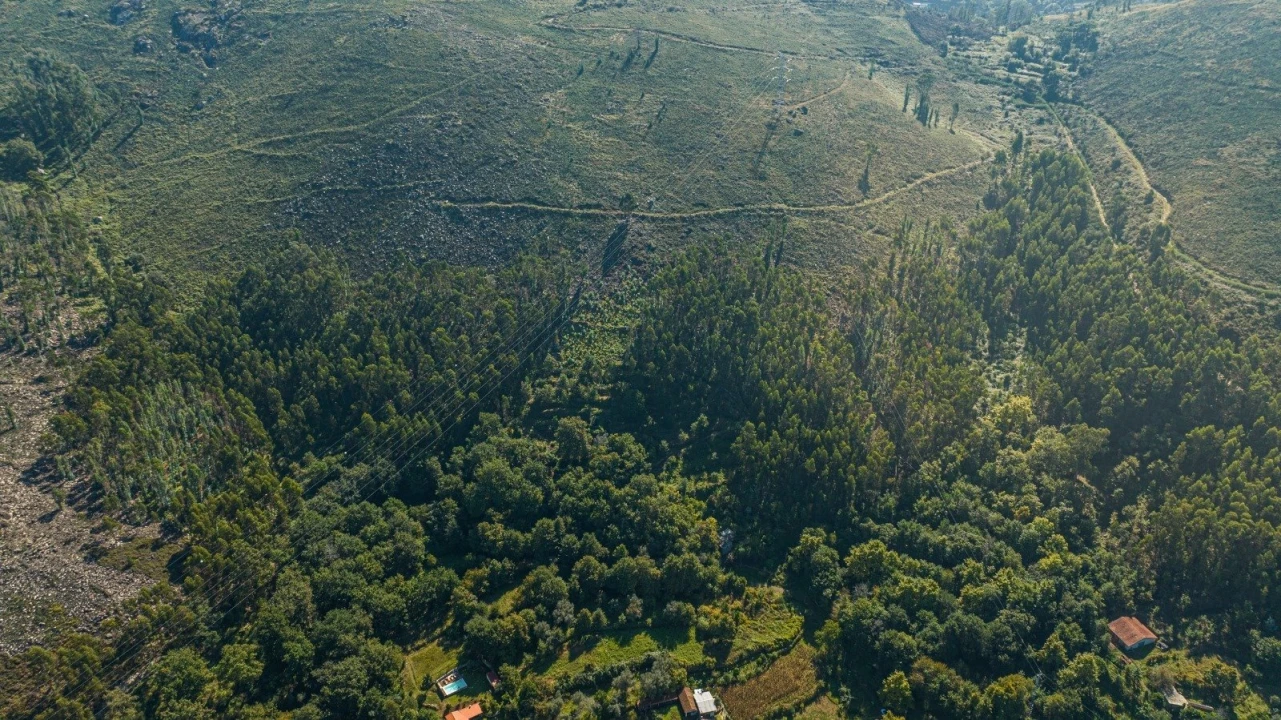 Moradia T2 para Venda em Caldelas, Sequeiros e Paranhos Foto 6
