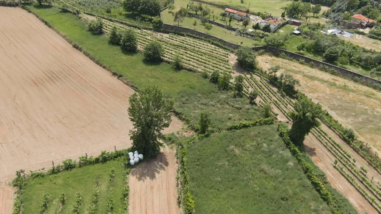 Terreno para Venda em Longos Foto 2
