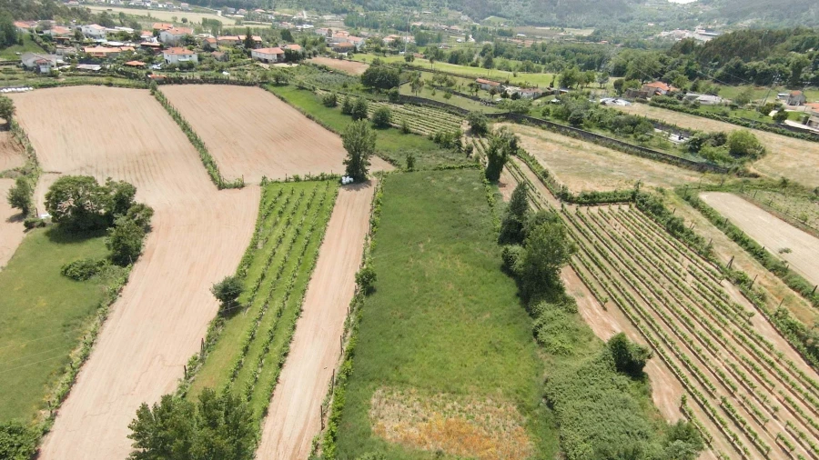 Terreno para Venda em Longos Foto 9