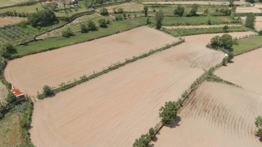 Terreno para Venda em Longos Foto 5