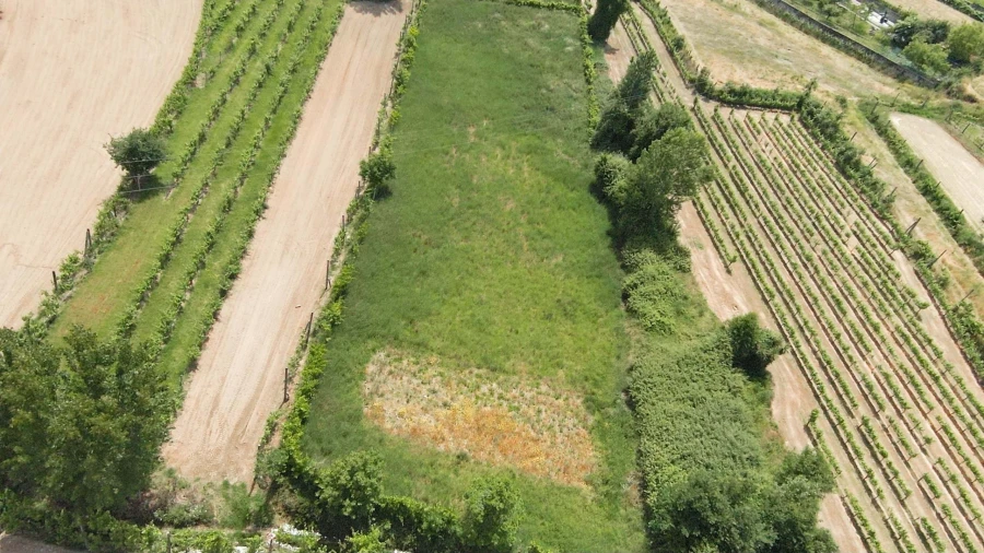 Terreno para Venda em Longos Foto 10