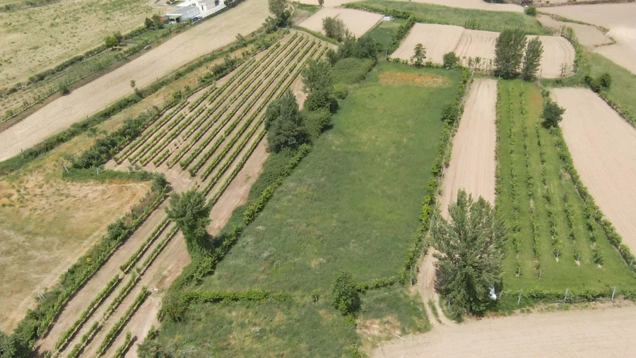 Terreno para Venda em Longos Foto 7