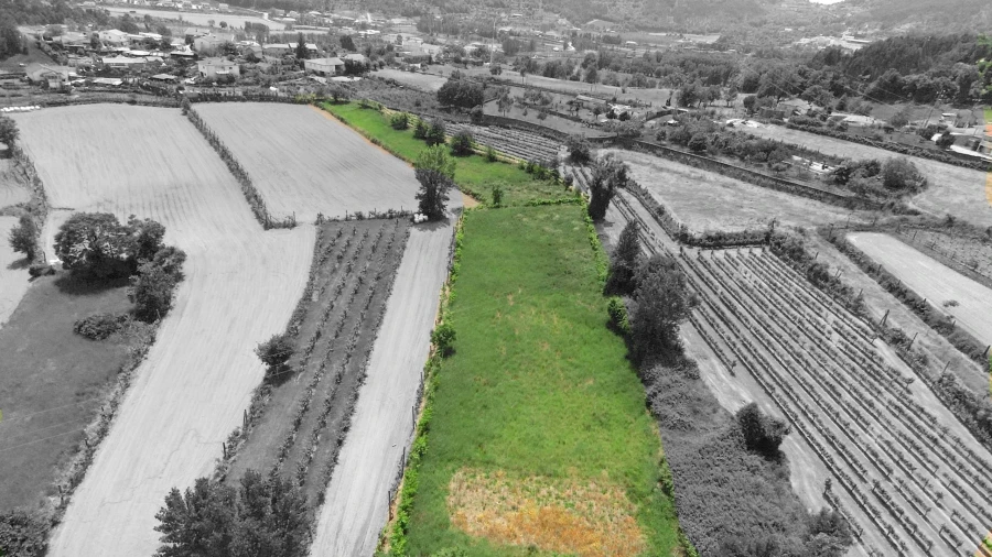 Terreno para Venda em Longos Foto 3