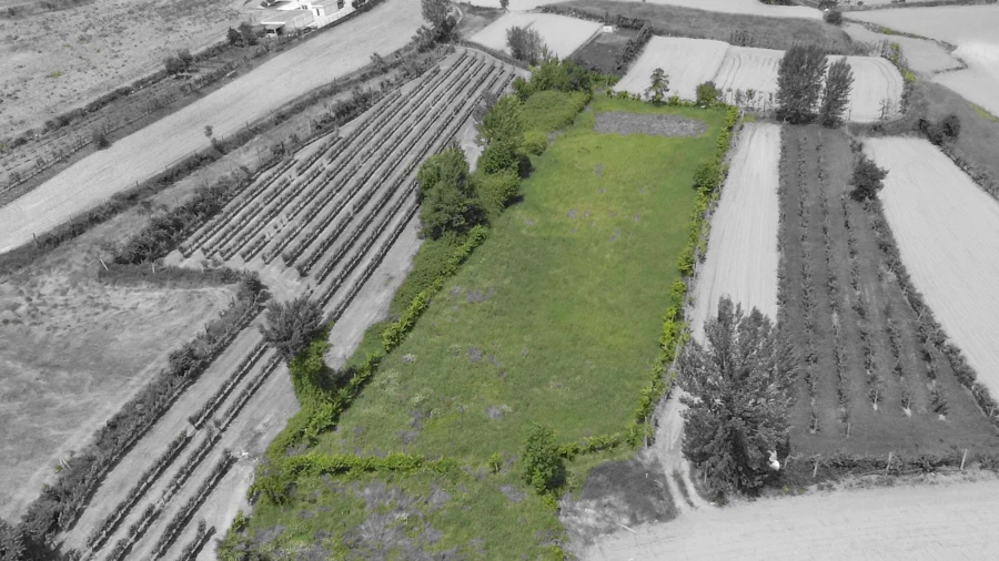 Terreno para Venda em Longos Foto 6