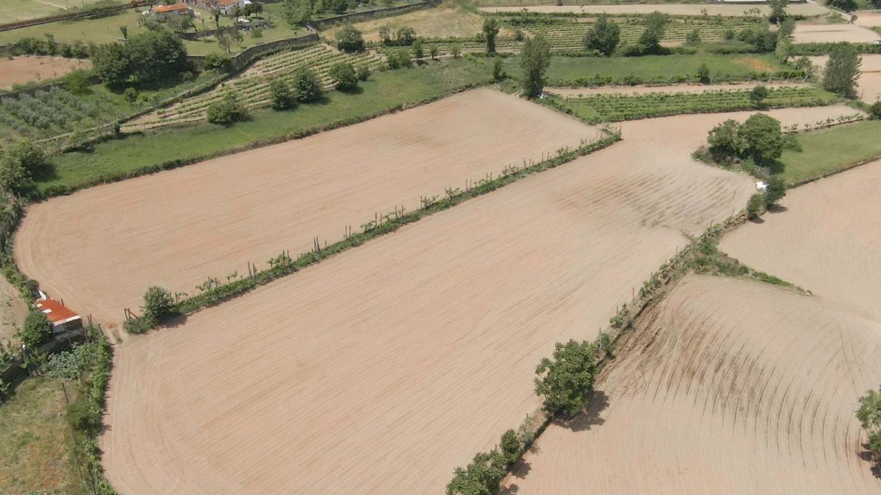 Terreno para Venda em Longos Foto 5