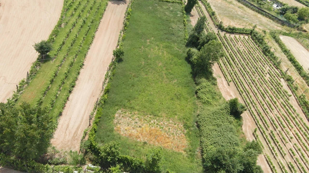 Terreno para Venda em Longos Foto 10