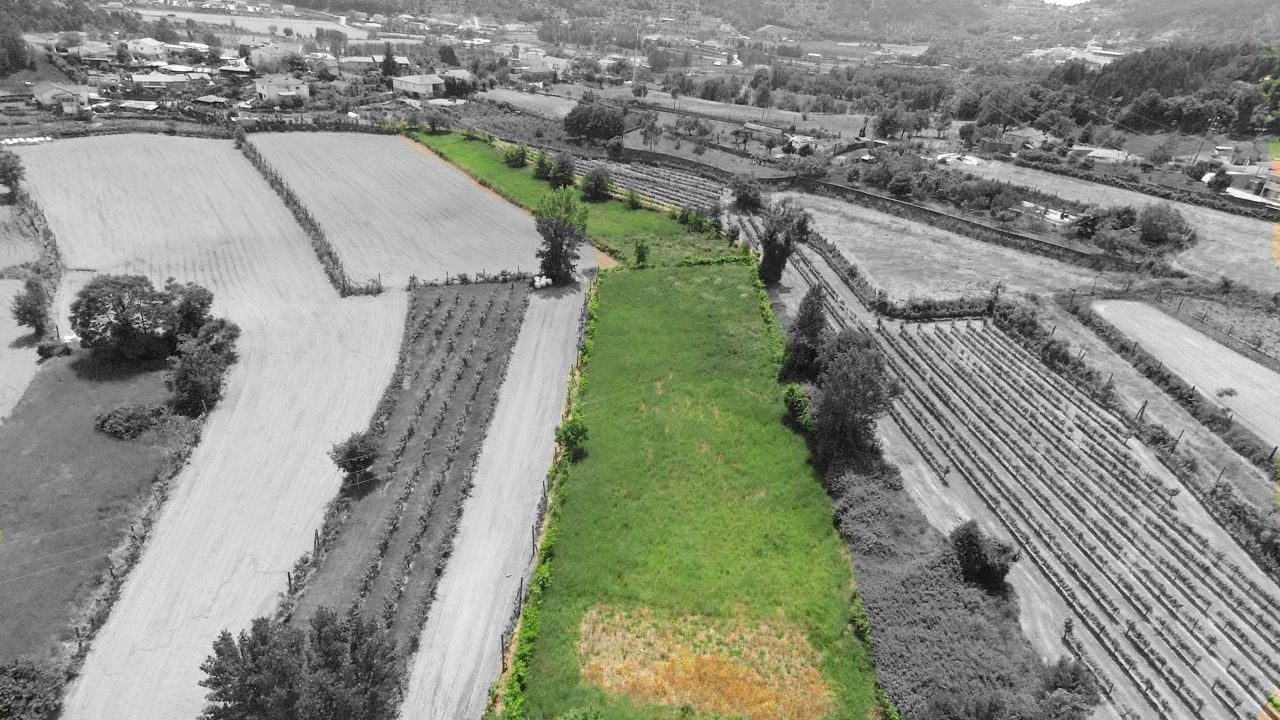 Terreno para Venda em Longos Foto 3