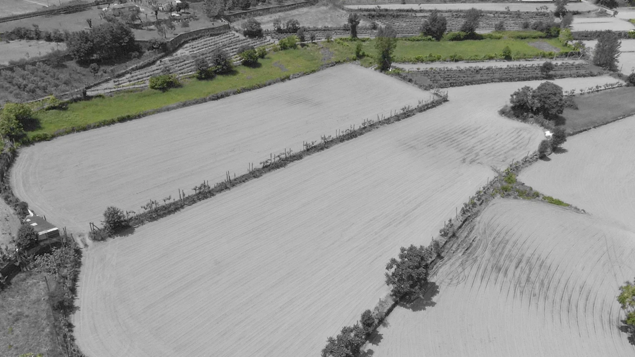 Terreno para Venda em Longos Foto 4