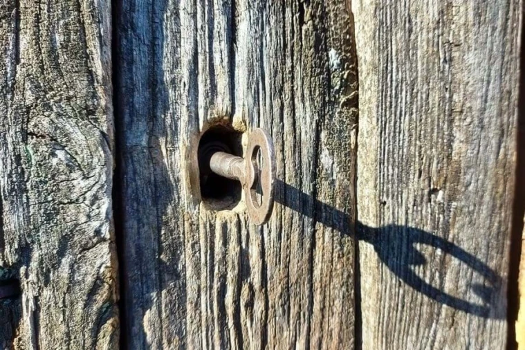 Quinta T0 para Venda em Ruivães e Campos Foto 16