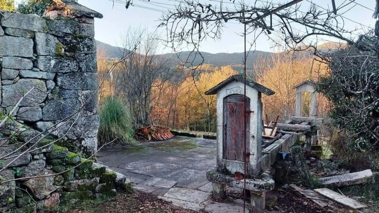 Quinta T0 para Venda em Ruivães e Campos Foto 13