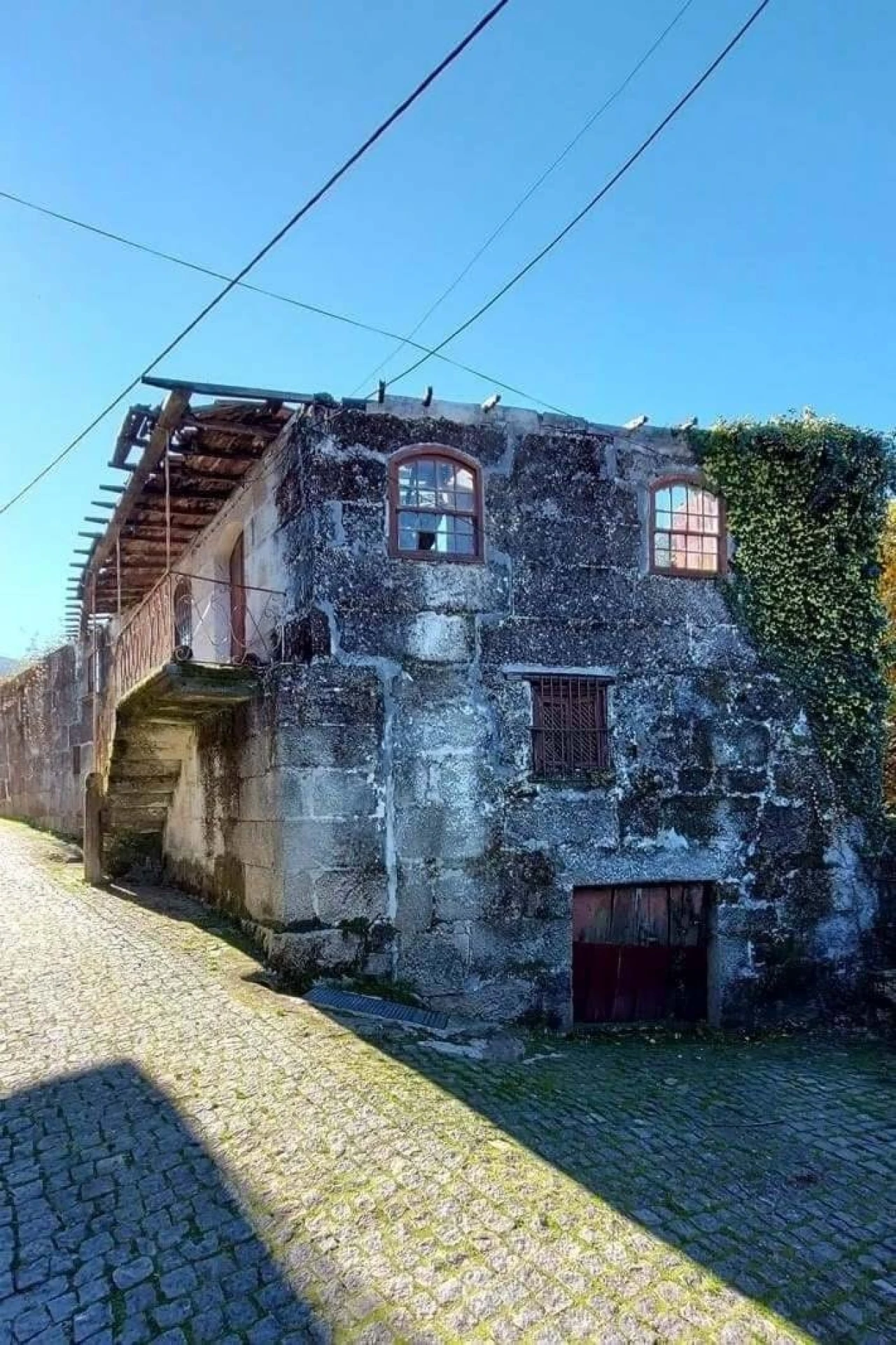 Quinta T0 para Venda em Ruivães e Campos Foto 9