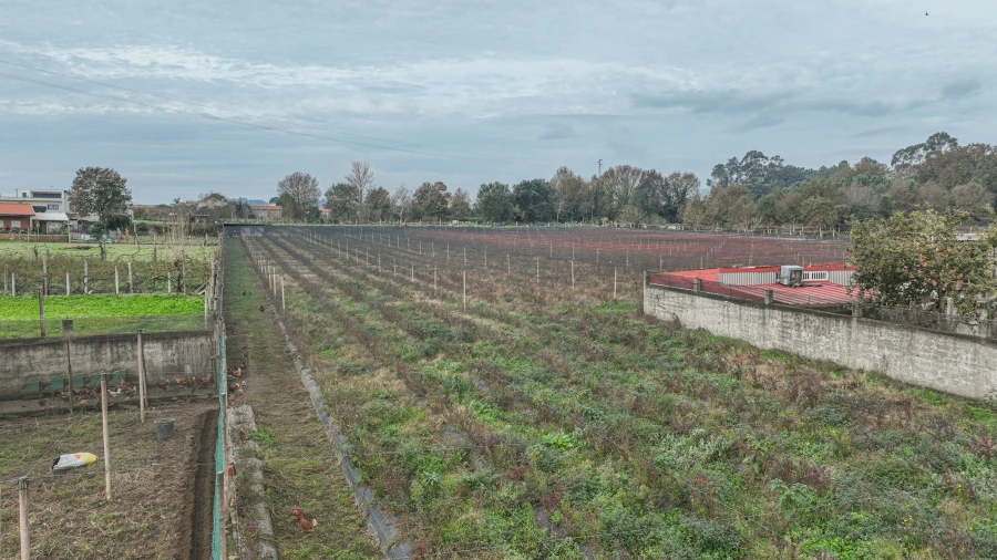 Quinta T0 para Venda em Turiz Foto 6