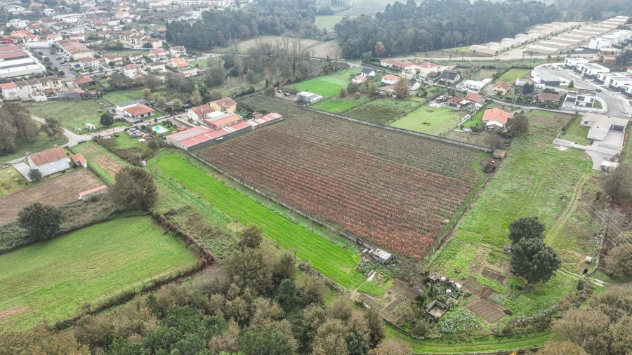 Quinta T0 para Venda em Turiz Foto 13