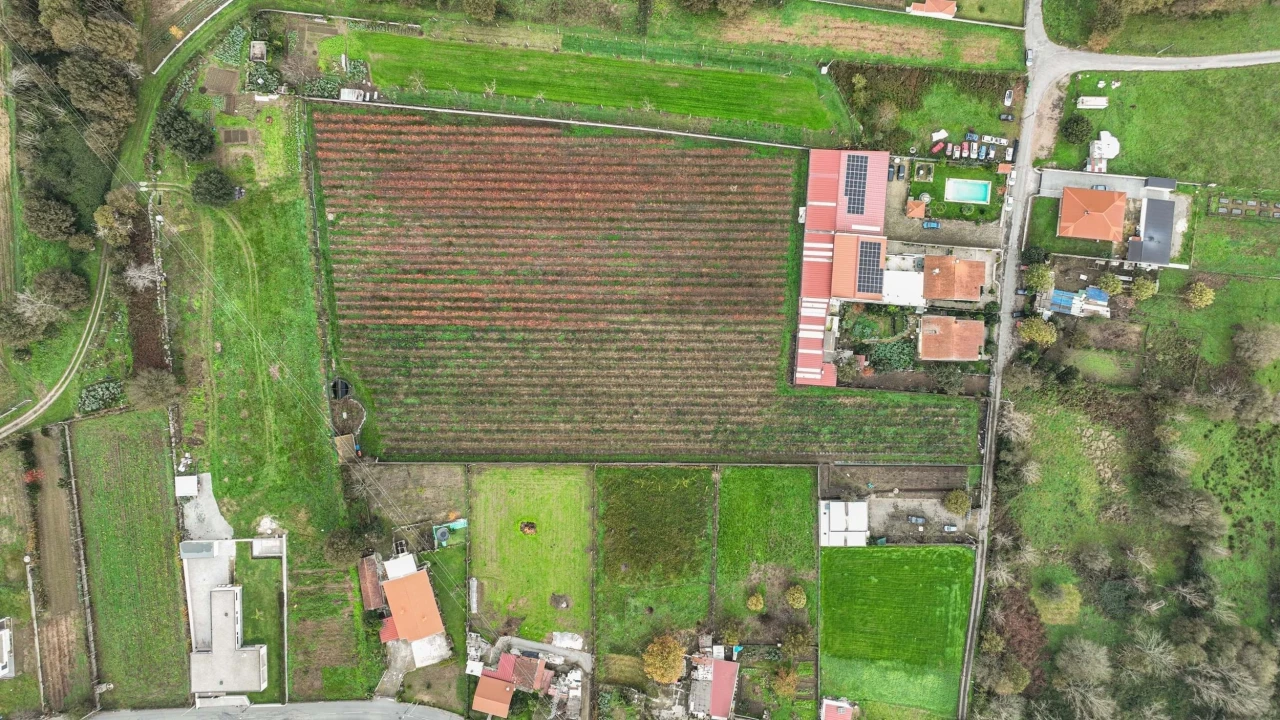 Quinta T0 para Venda em Turiz Foto 3