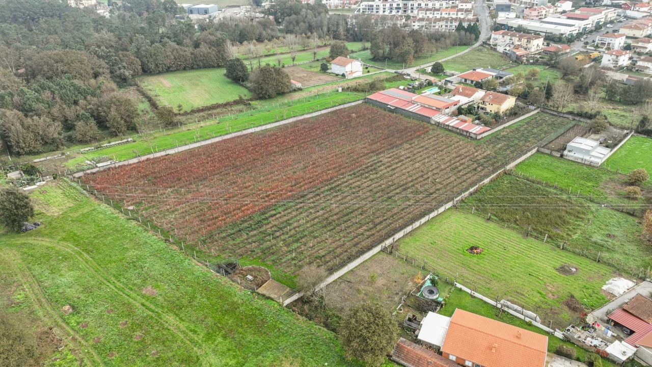 Quinta T0 para Venda em Turiz Foto 11