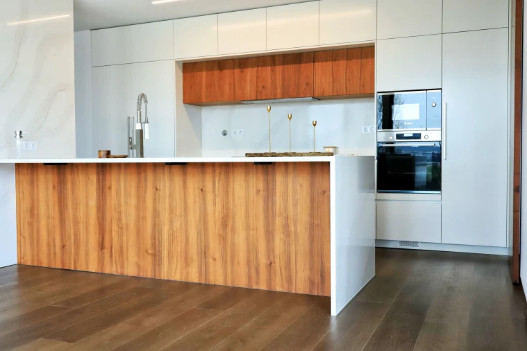 Apartamento T2 para Venda em Santa Maria Maior e Monserrate e Meadela Foto 4