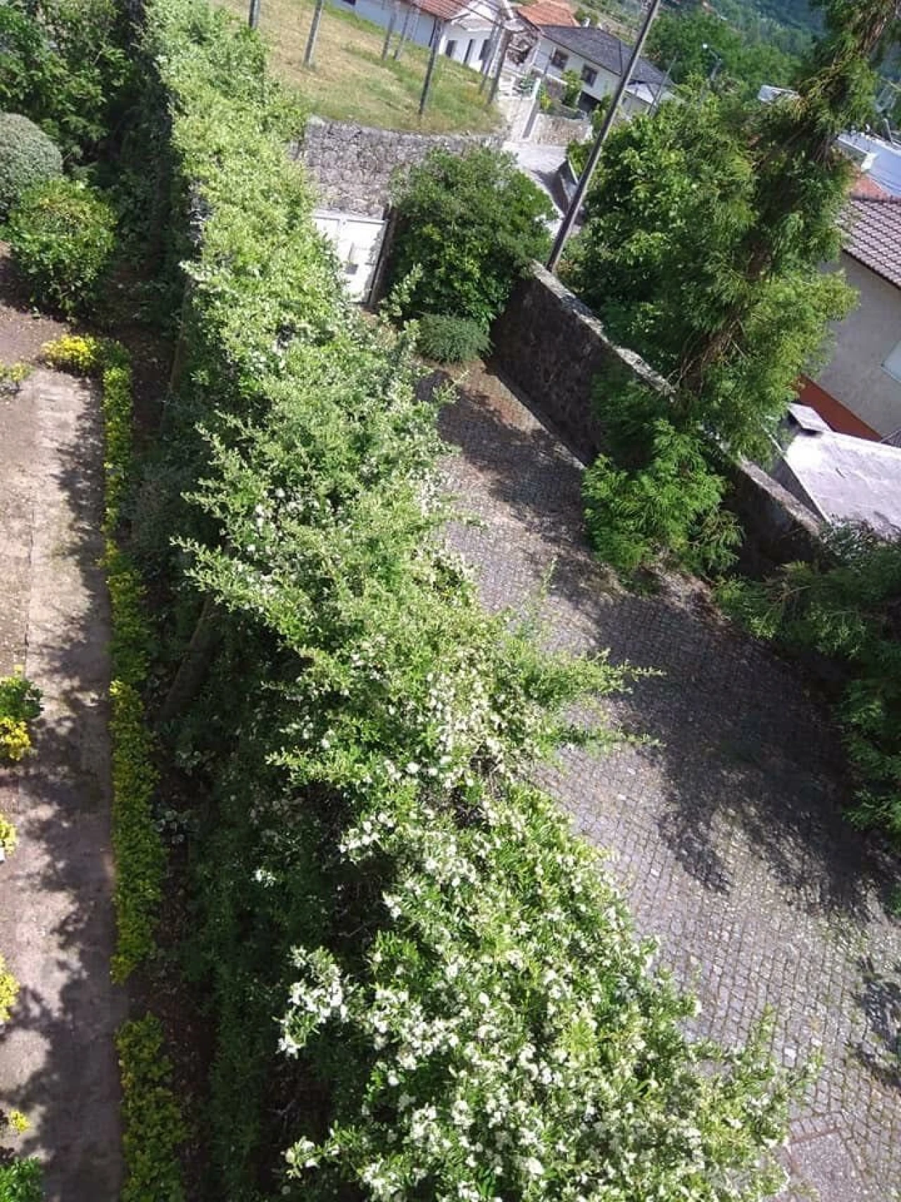 Moradia T5 para Venda em Santo Emilião Foto 15