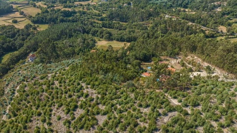 Terreno para Venda em Vieira do Minho