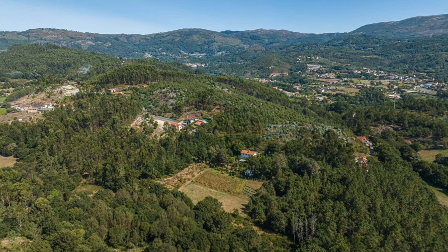 Terreno para Venda em Vieira do Minho Foto 6
