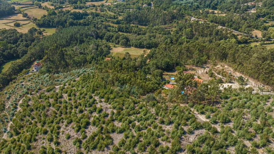 Terreno para Venda em Vieira do Minho Foto 2