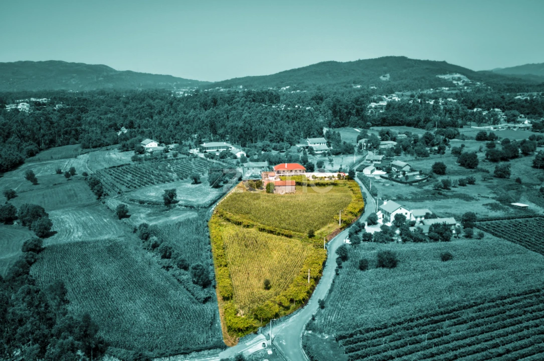 Terreno para Venda em Ardegão, Freixo e Mato Foto 11
