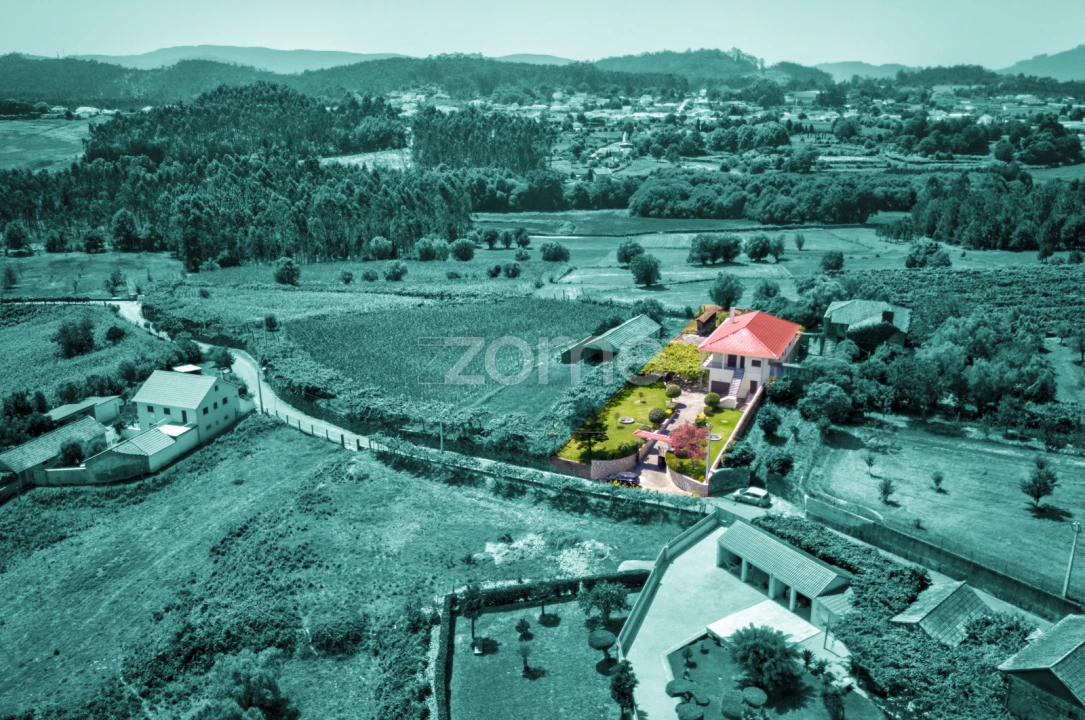 Terreno para Venda em Ardegão, Freixo e Mato Foto 5