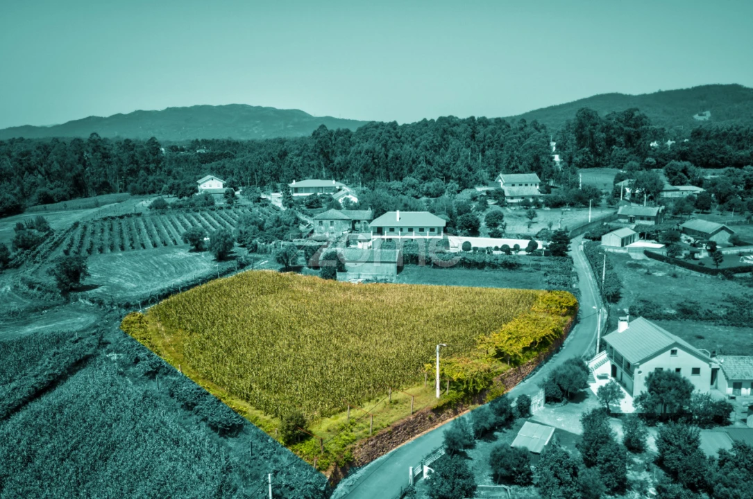 Terreno para Venda em Ardegão, Freixo e Mato Foto 7