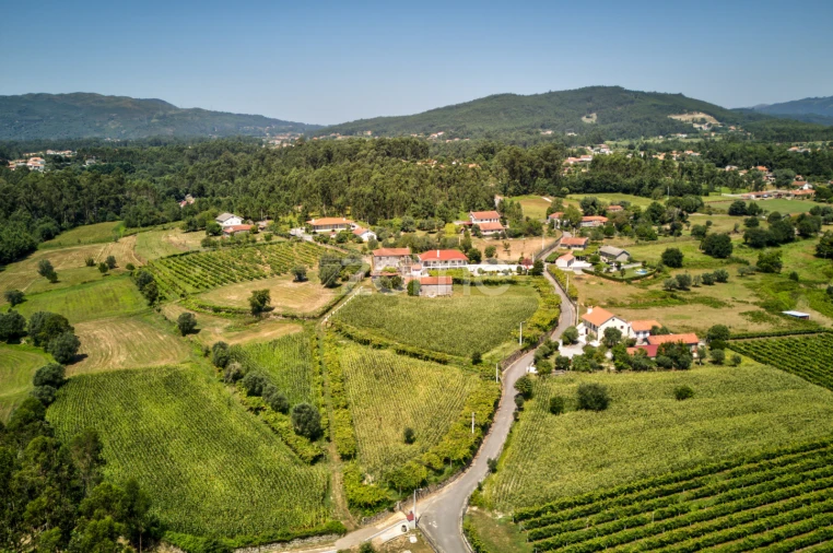 Terreno para Venda em Ardegão, Freixo e Mato Foto 9