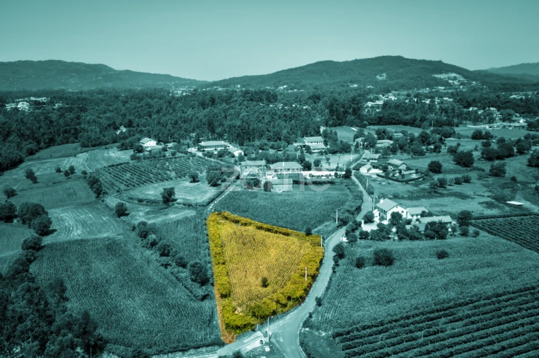 Terreno para Venda em Ardegão, Freixo e Mato Foto 10