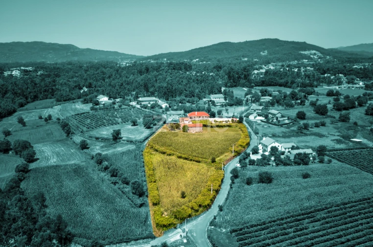 Terreno para Venda em Ardegão, Freixo e Mato Foto 2