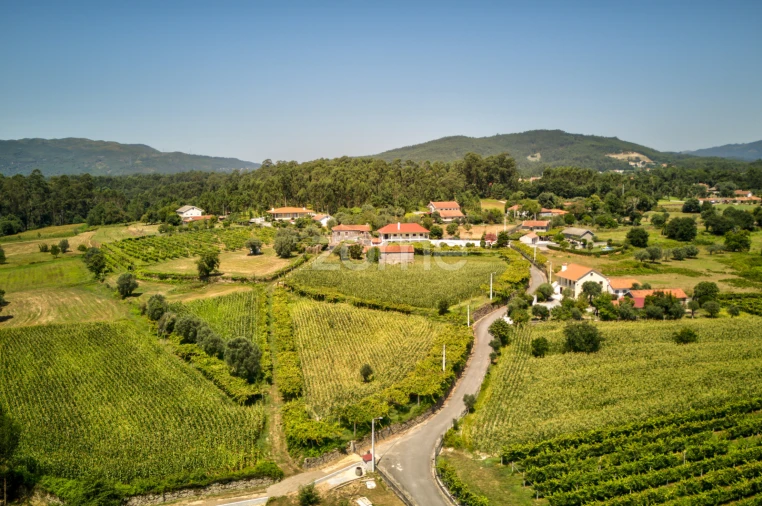 Terreno para Venda em Ardegão, Freixo e Mato Foto 8