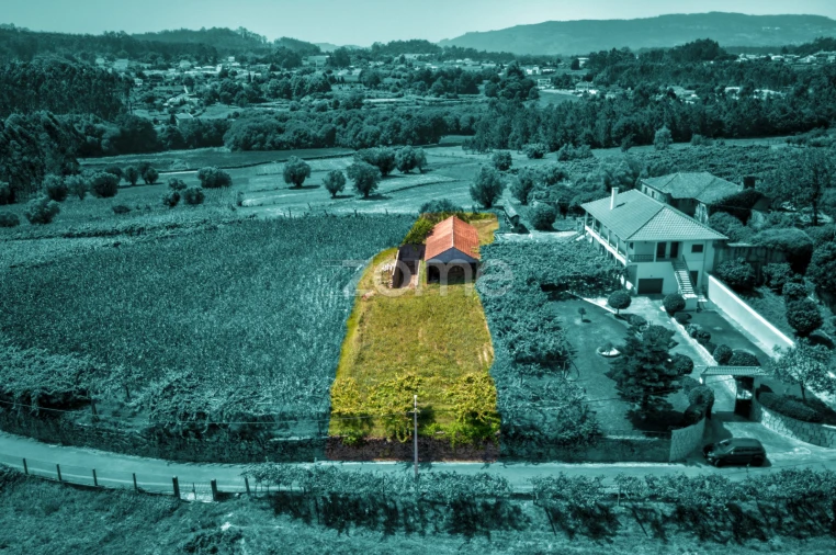 Terreno para Venda em Ardegão, Freixo e Mato Foto 3