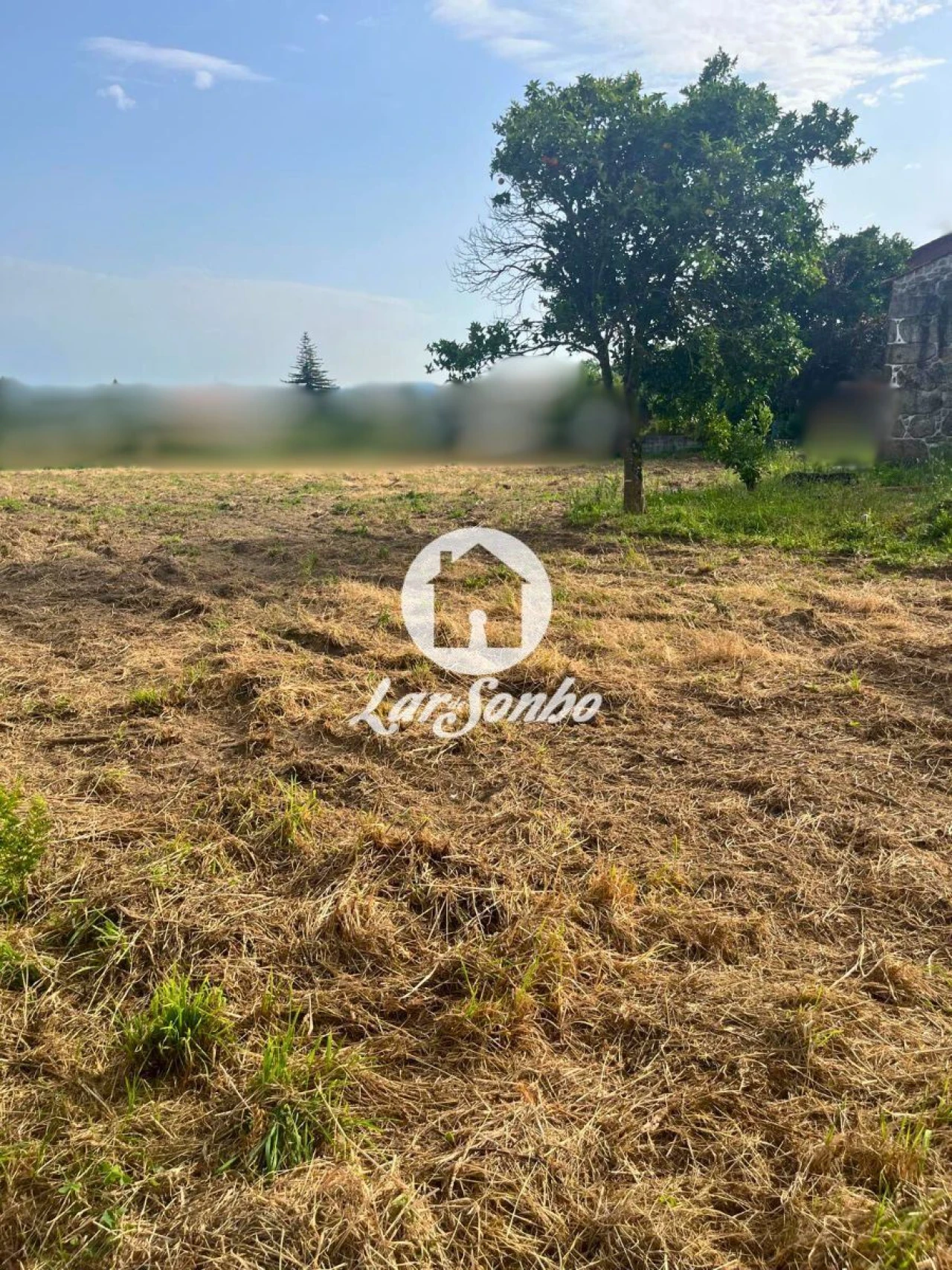 Moradia T2 para Venda em Alvito (São Pedro e São Martinho) e Couto Foto 18